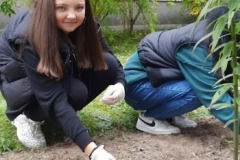 OW